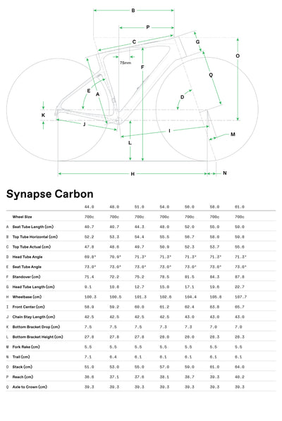 Synapse Carbon 2 SmartSense STVZO Cannondale 2025 Copper Ore #8